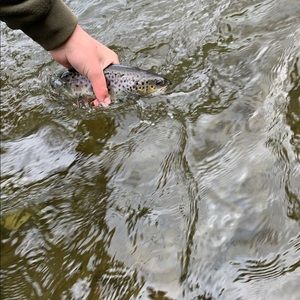 Meet your Posher, Colby